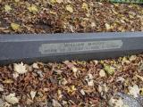 image of grave number 199078